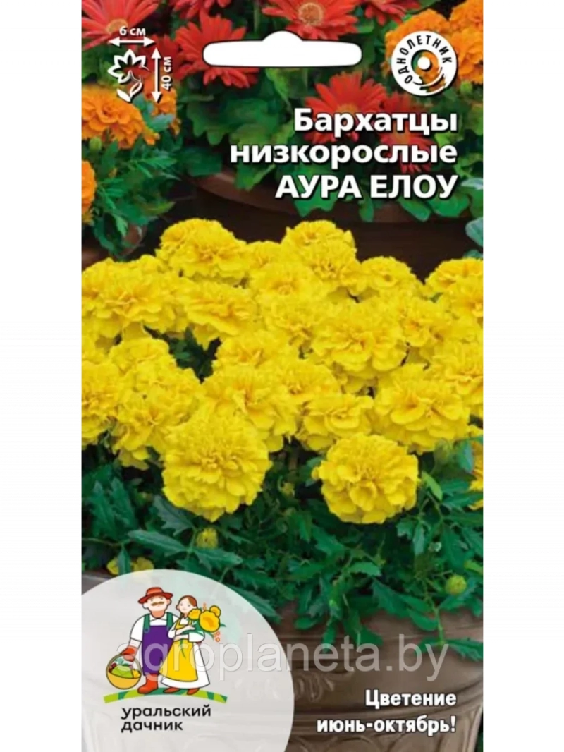 Бархатцы АУРА ЕЛОУ низкорослые 0,25г