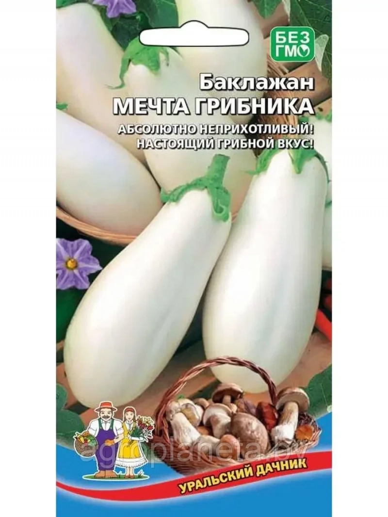 Баклажан Мечта Грибника