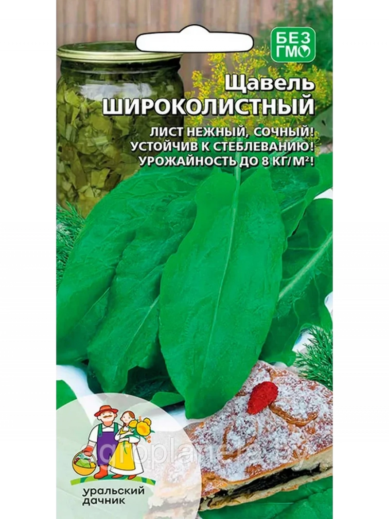 Семена Щавель Широколистный, 0,3г