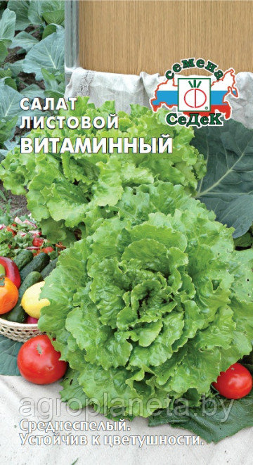 Салат Витаминный 0.5г