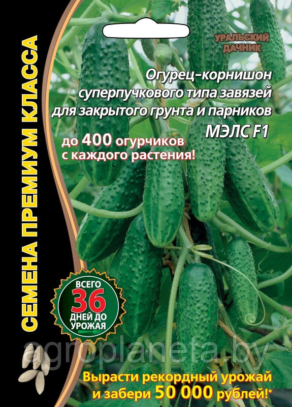 Огурец МЭЛС F1, 5 шт