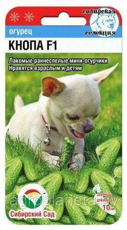 Огурец Кнопа F1 7 шт