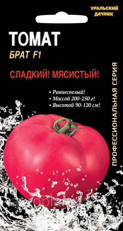 Томат БРАТ F1, 12 шт.