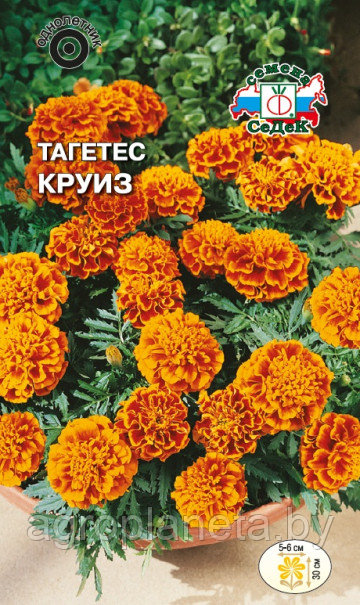 Тагетес Круиз 0,2г
