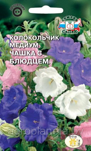 Колокольчик ЧАШКА С БЛЮДЦЕМ (медиум, смесь), 0.1г