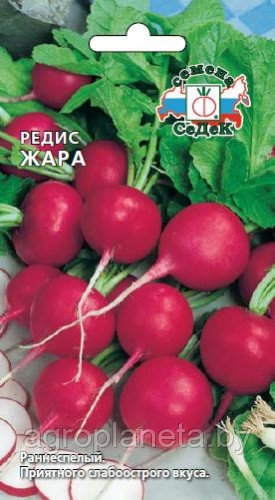 Редис ЖАРА, 3г