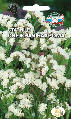 Статице Снежная Бахрома, 0.2г