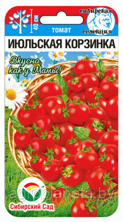 Томат Июльская корзинка 20шт