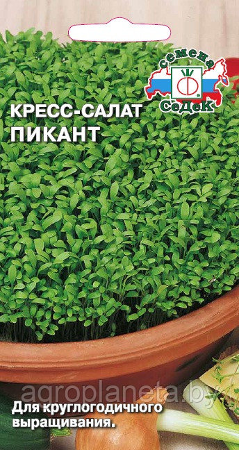 Салат ПИКАНТ (кресс) 1 г