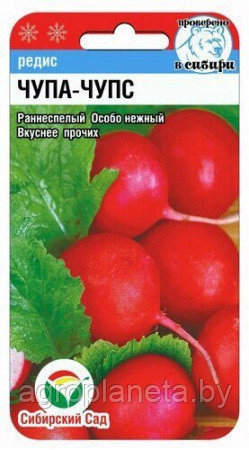 Редис Чупа-Чупс 2гр