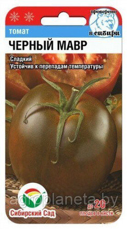 Томат Черный Мавр 20шт