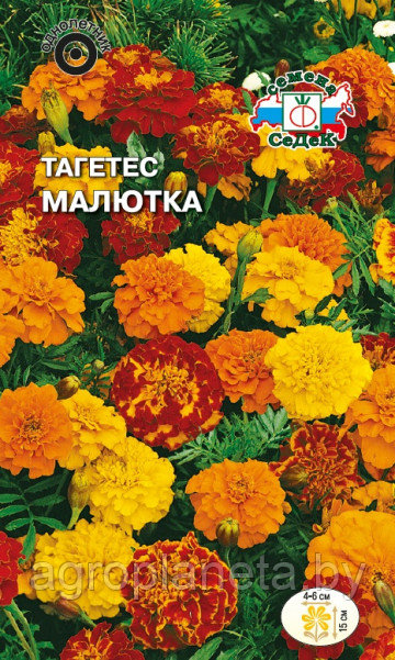 Тагетес МАЛЮТКА, 0.1г