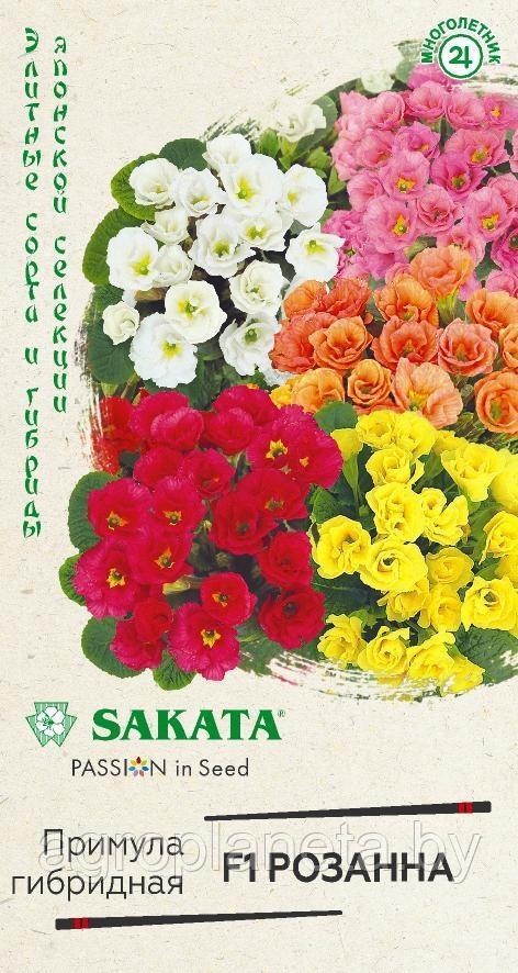 Примула РОЗАННА F1 (махровая смесь), 4 шт.