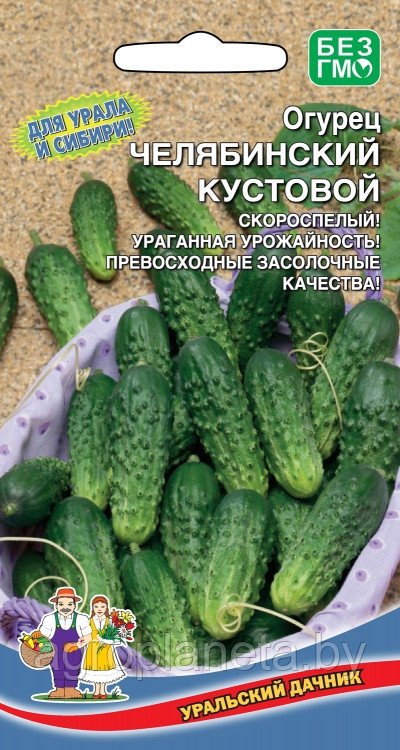 Огурец ЧЕЛЯБИНСКИЙ КУСТОВОЙ,12 шт+6шт