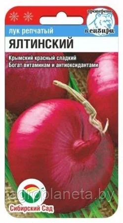Лук репчатый Ялтинский красный 60шт
