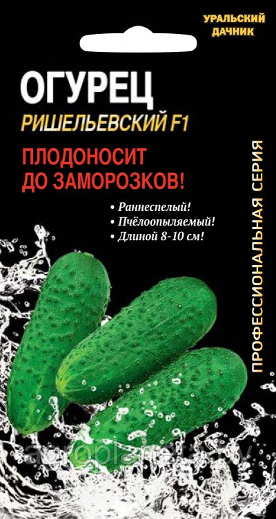 Огурец РИШЕЛЬЕВСКИЙ F1, 8 шт