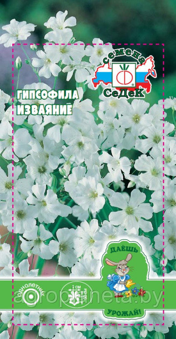 Гипсофила Изваяние (вид изящная, белая) 0,2г