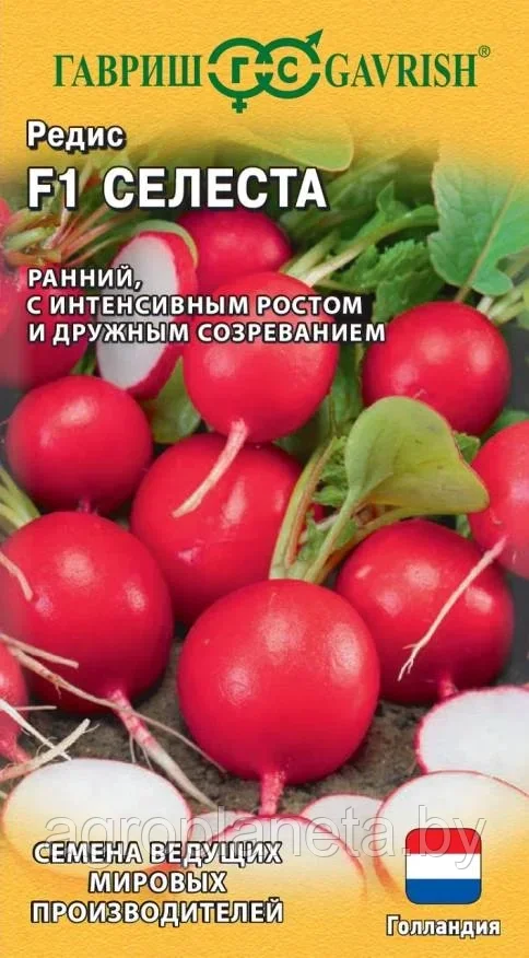Редис Селеста F1 0,5г