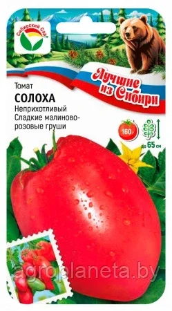 Томат Солоха 20шт