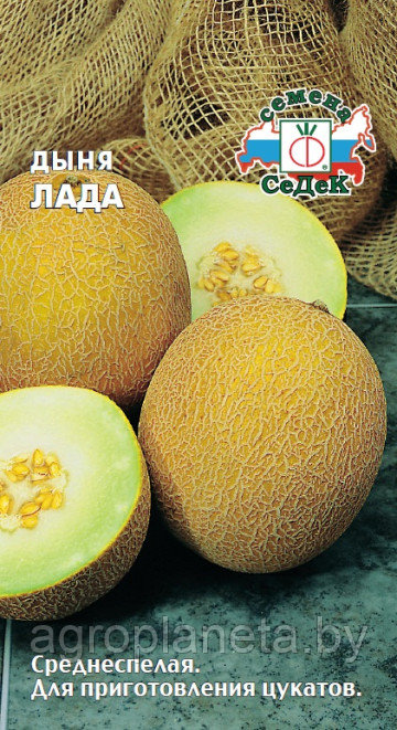 Дыня Лада 0.5г