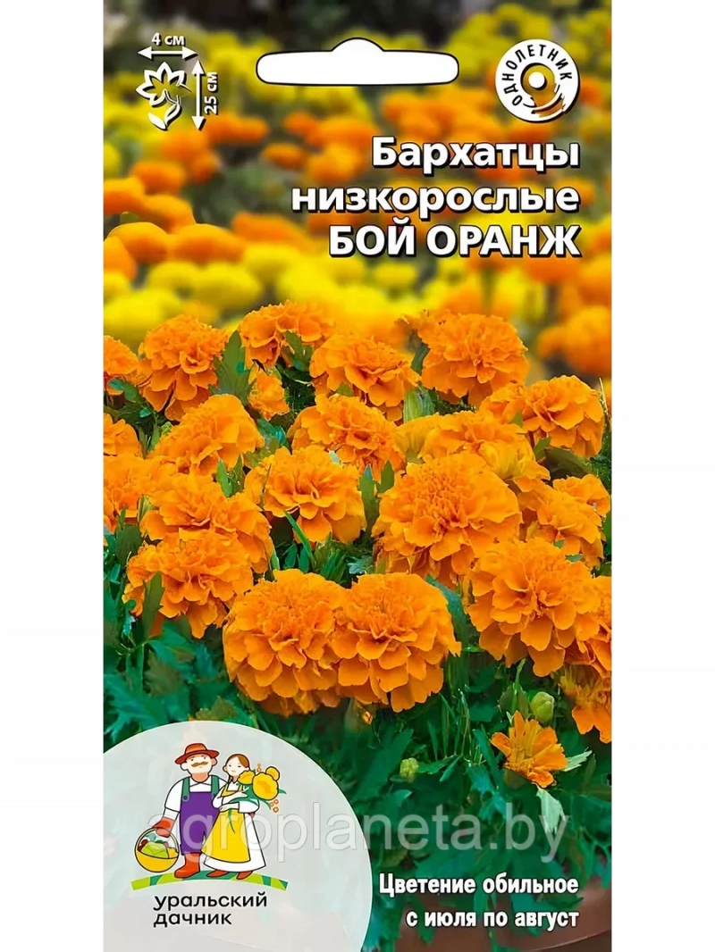 Бархатцы БОЙ ОРАНЖ низкорослые 0,25г