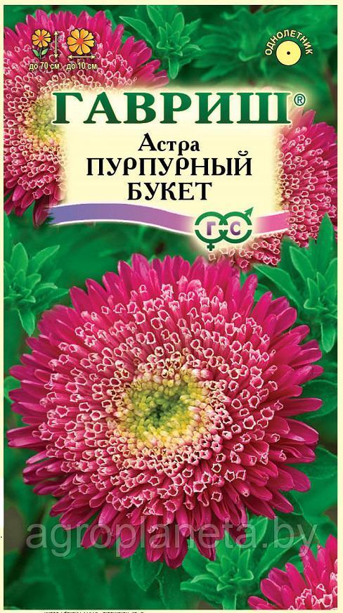 Астра БУКЕТ ПУРПУРНЫЙ, 0.3 г