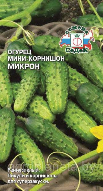 Огурец Микрон 0.5г
