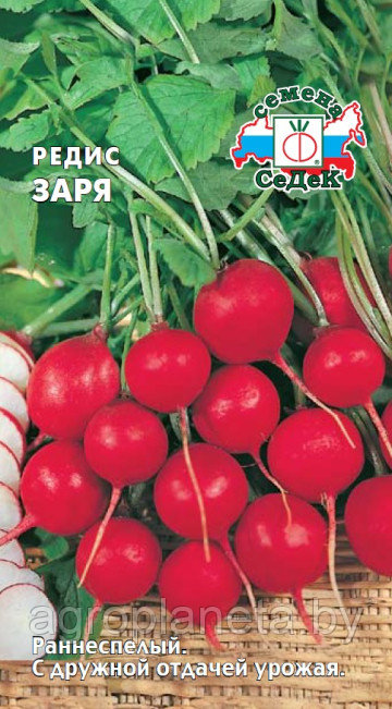 Редис ЗАРЯ, 3г