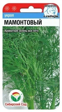Укроп Мамонтовый 1г