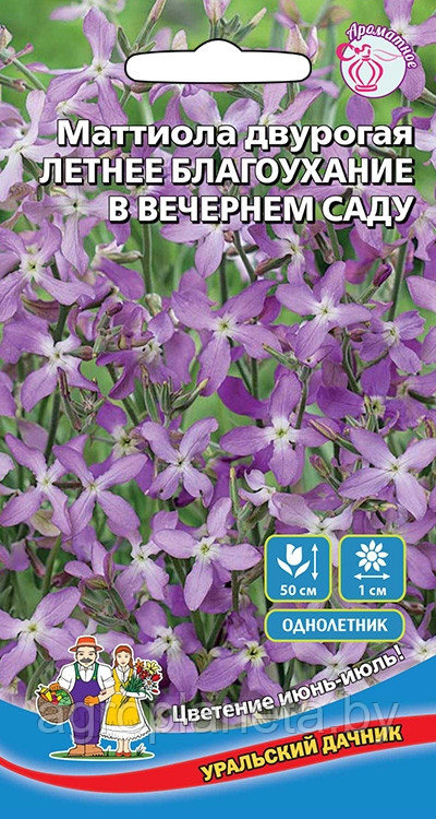 Маттиола ЛЕТНЕЕ БЛАГОУХАНИЕ В ВЕЧЕРНЕМ САДУ, 0,25г