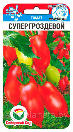 Томат Супергроздевой 20шт