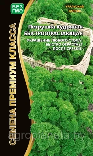Петрушка кудрявая БЫСТРООТРАСТАЮЩАЯ 2г