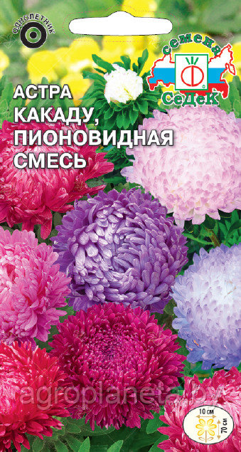 Астра Какаду, пионовидная смесь 0,2 г