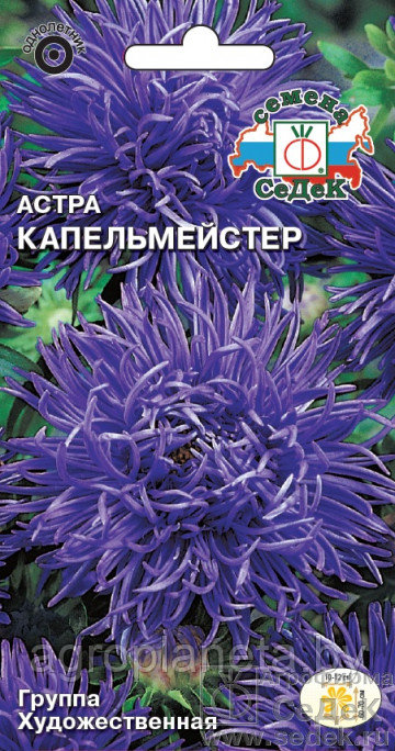 Астра КАПЕЛЬМЕЙСТЕР, 0.2г