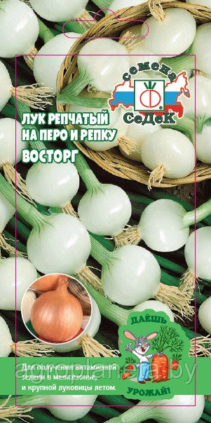 Лук Восторг 1г