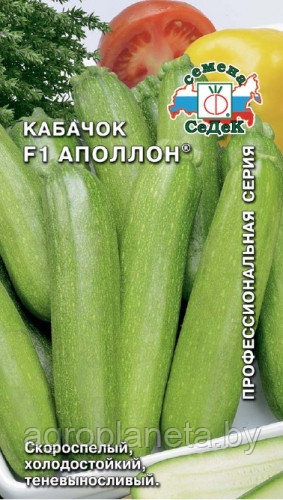 Кабачок АППОЛОН® F1, 1г