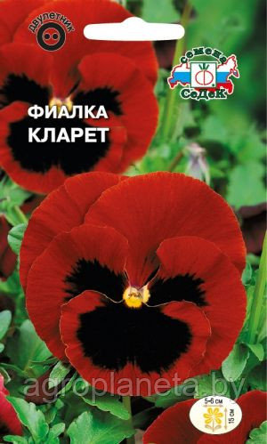 Фиалка КЛАРЕТ (швейцарский гигант), 0.05г