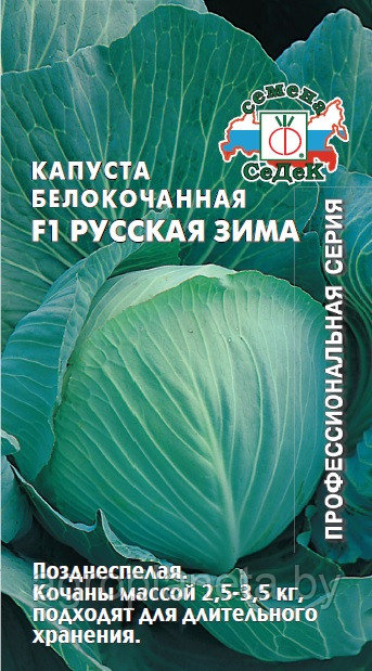 Капуста Русская Зима F1 0.1г