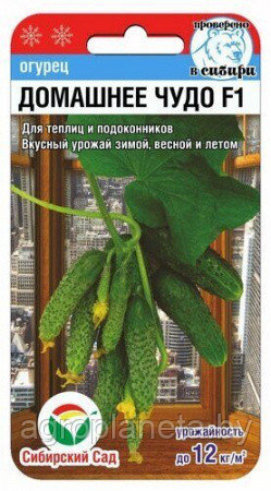 Огурец Домашнее Чудо F1 7 шт