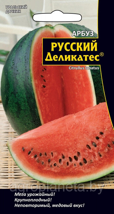 Арбуз РУССКИЙ ДЕЛИКАТЕС®, 5 шт.