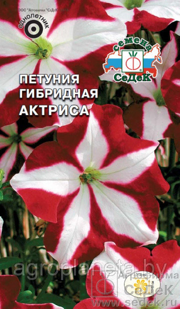 Петуния Актриса F1 (каскадная), 10шт