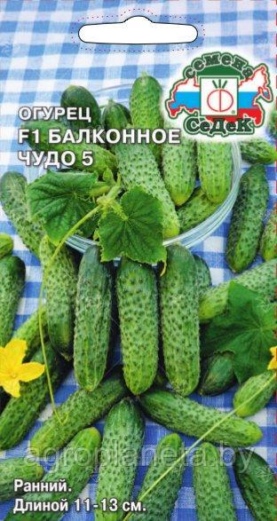 Огурец Балконное Чудо 5 F1 0.2г