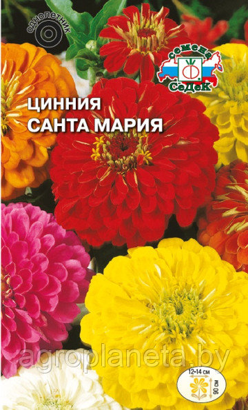 Цинния САНТА МАРИЯ, 0.5г