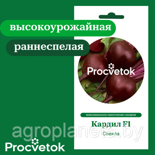 Свекла Кардил F1 50 шт