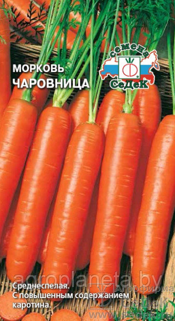 Морковь ЧАРОВНИЦА, 2 г