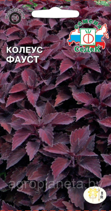 Колеус Фауст 0,1г