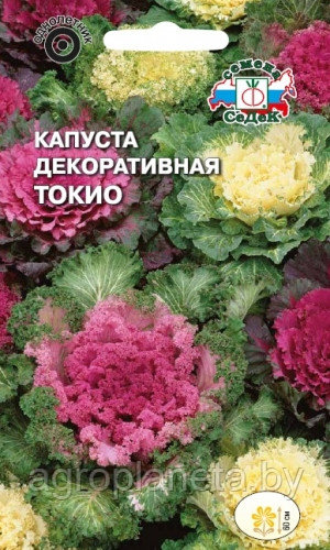 Капуста декоративная ТОКИО (смесь), 0.1г