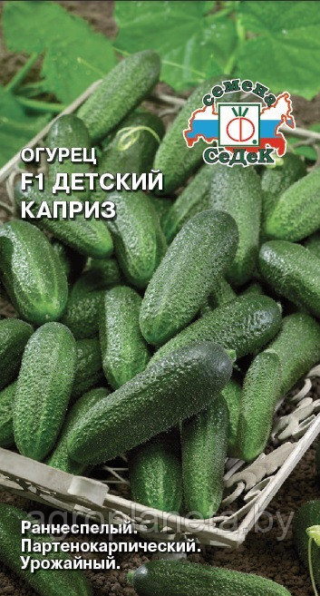 Огурец Детский каприз F1 0.2г
