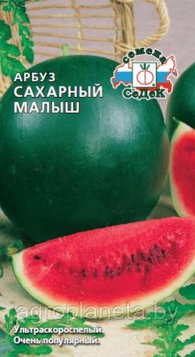 Арбуз САХАРНЫЙ МАЛЫШ, 1г