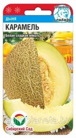 Дыня Карамель 7шт